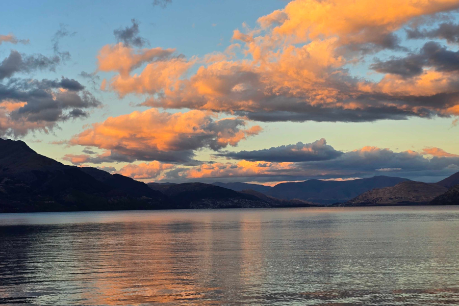 Untitled design (8).png